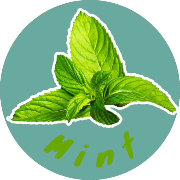 Mint Royale