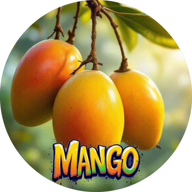 Mango Tropix